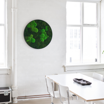 Mos cirkel med sort ramme i mix af pudemos og provencemos